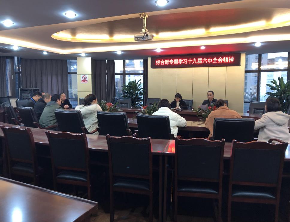 綜合部專(zhuān)題學(xué)習(xí)黨的十九屆六中全會(huì)精神和第六次黨代會(huì)精神
